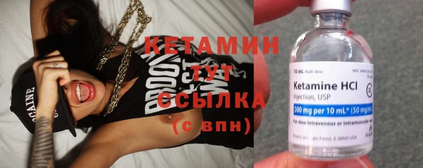 молекула духа Снежногорск