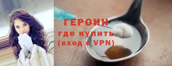 молекула духа Снежногорск