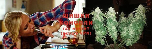 дмт Нефтекумск