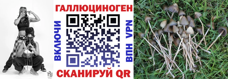 Псилоцибиновые грибы Psilocybe  дарнет шоп  Александровск 